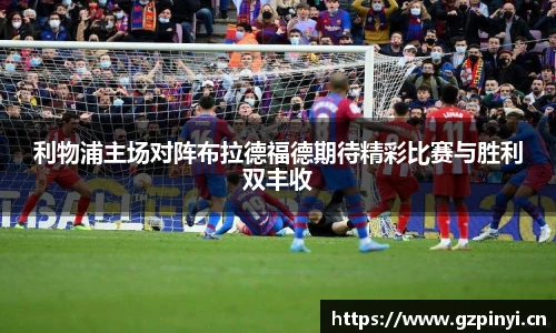 BB贝博艾弗森官网