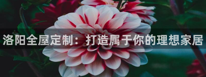bb电子糖果彩球