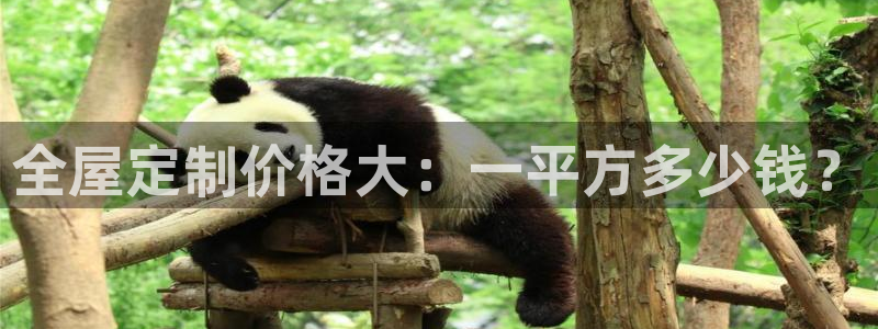 BB电子麻将胡了