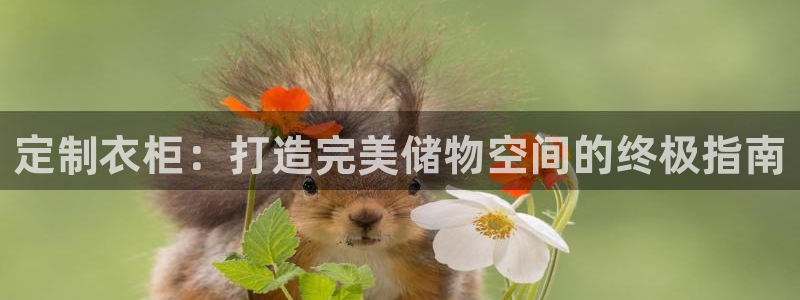 bb电子哪个平台好用一点