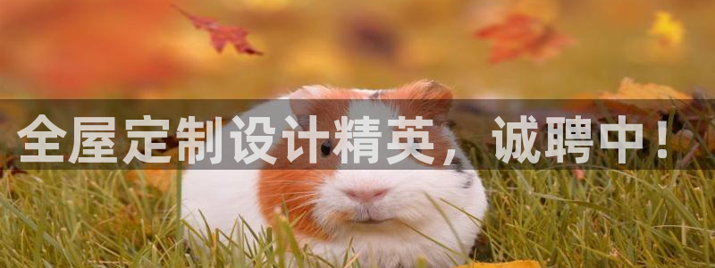 bb电子是怎么控制玩家输赢的