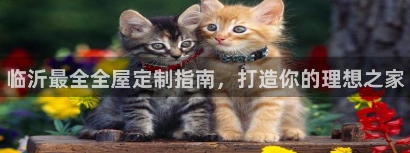 bb电子游戏作弊