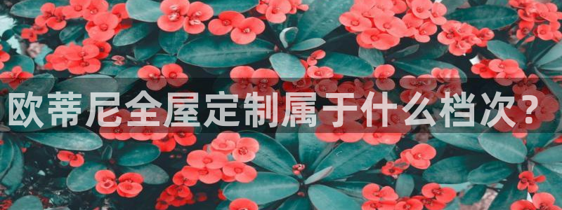 bb电子哪个平台好啊