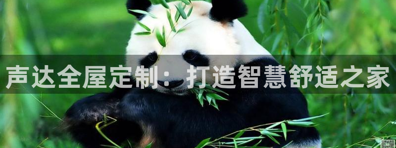 bb电子教育平台