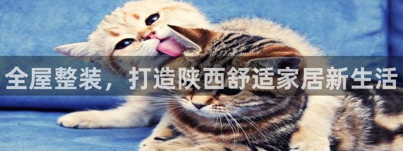 bb电子怎么样
