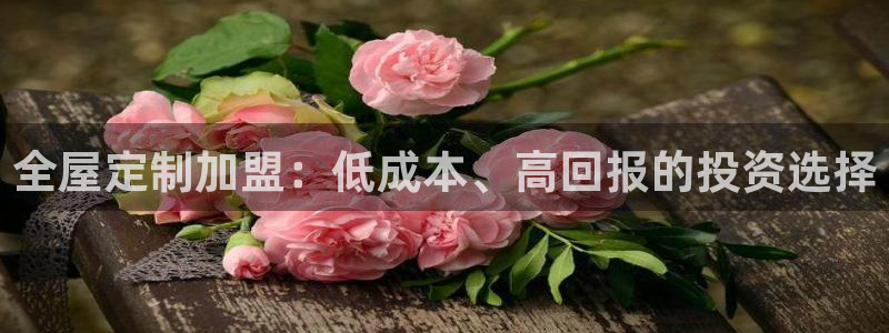 BB电子哪个平台好出款