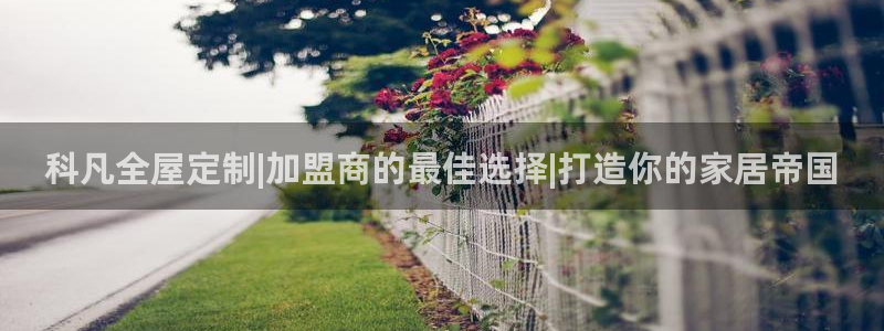 bb电子哪个平台好用