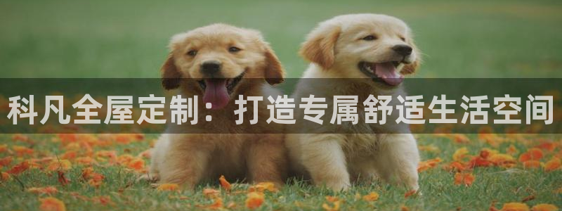 bb电子什么时候容易爆大奖的