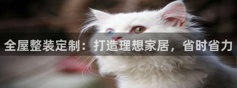 bb电子怎么英语怎么说