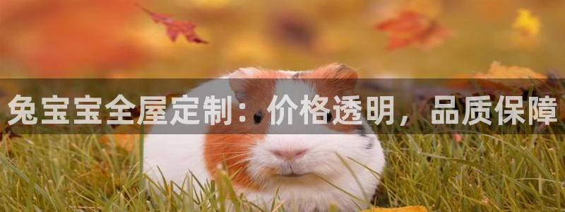 Bb电子琴和弦是哪个