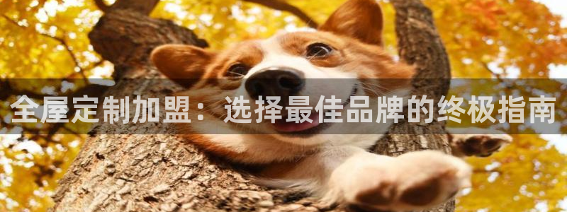 bb电子最简单设置方法