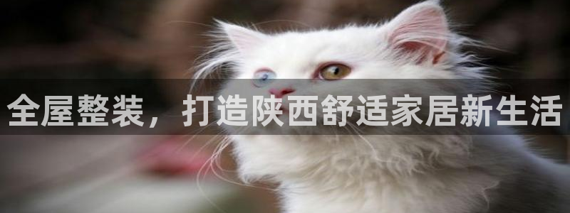 BB电子怪物派对