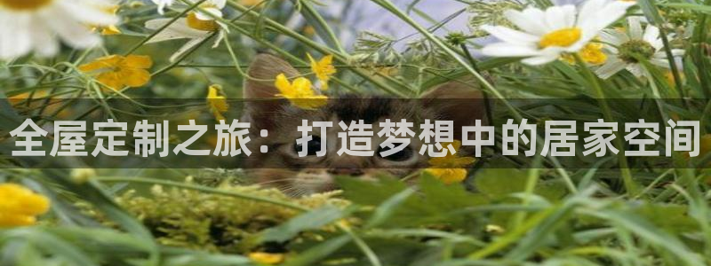 bb电子哪个游戏好赢钱一点