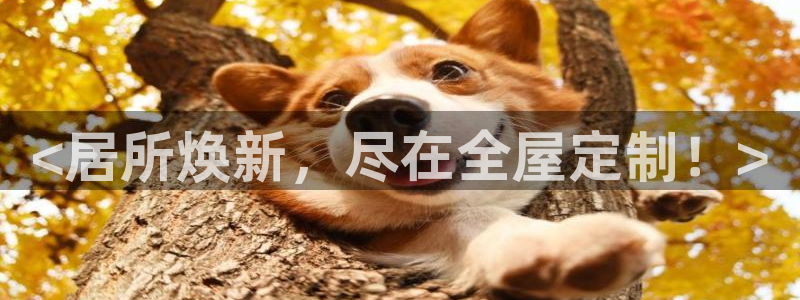 bb电子最简单设置方法