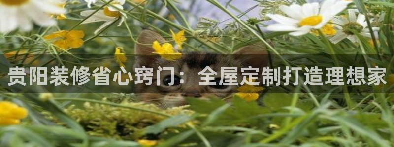 BB电子哪个平台好出款