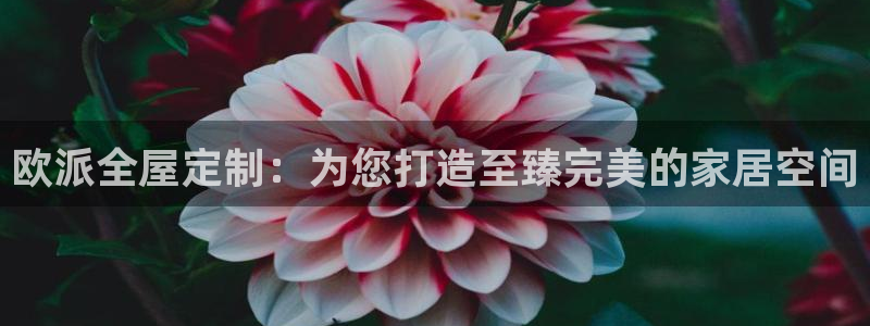 bb电子哪个平台好用点