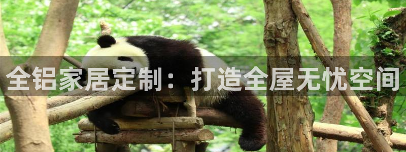 Bb电子琴和弦是哪个