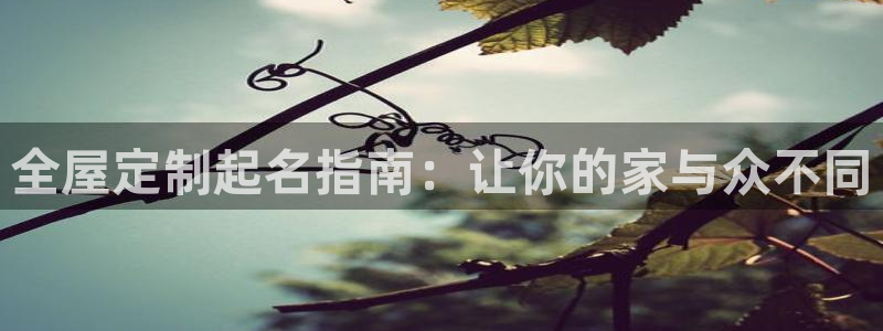 bb电子哪个平台好点