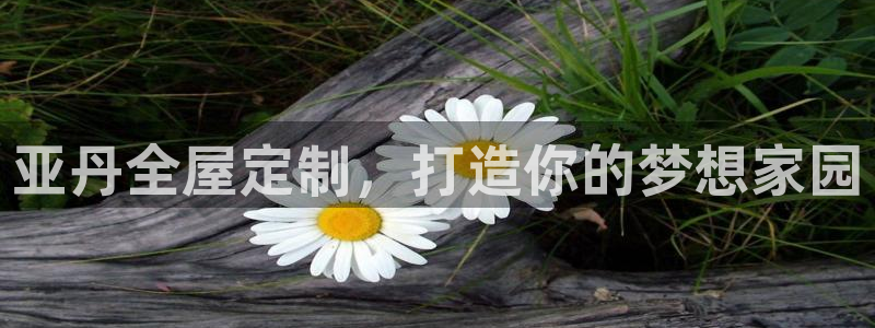 bb电子哪个平台好啊