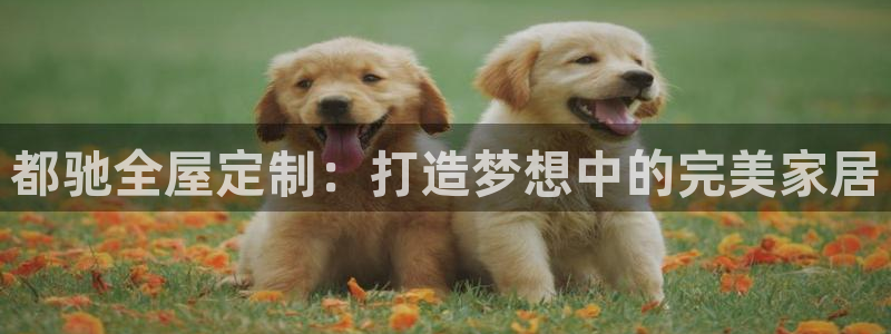 网上bb电子为什么那么假的