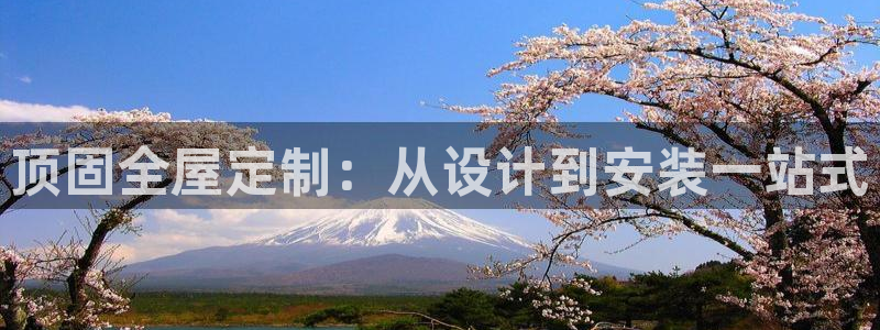 BB电子哪个平台好出款
