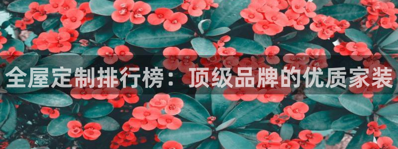 BB电子烟官网
