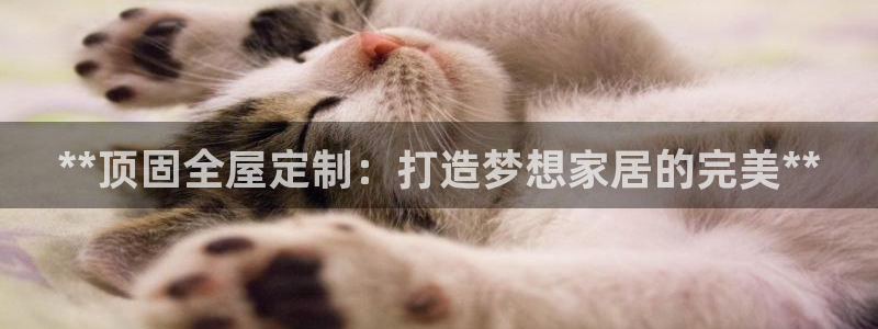 bb电子糖果哪个网站好mg官方电子平台