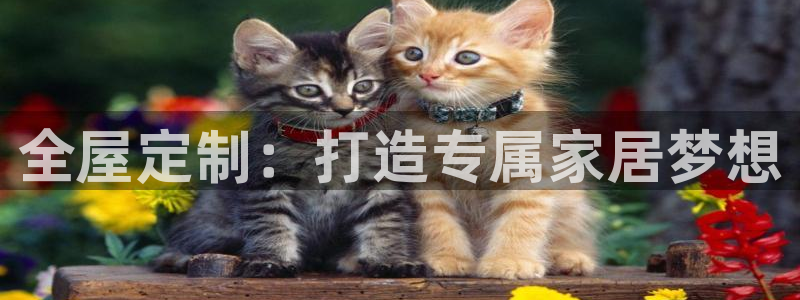 BB电子开户