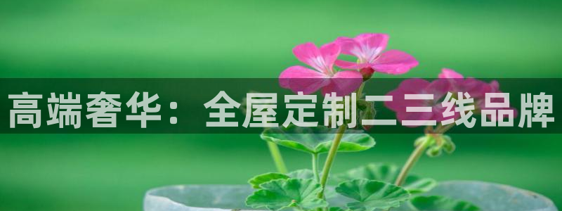 BB电子开户