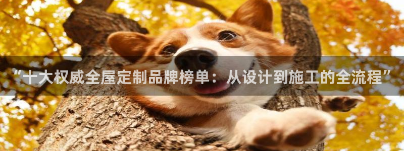 bb电子掉彩金