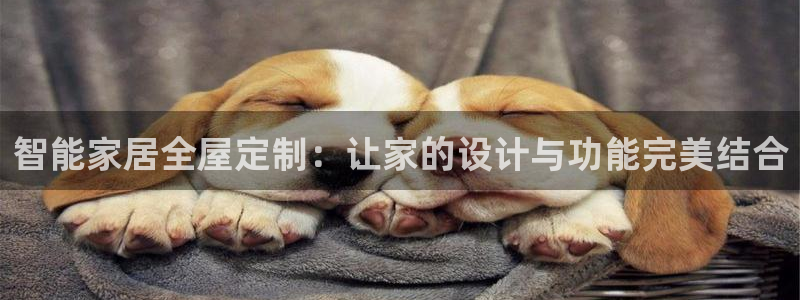 bb电子哪个平台好一点