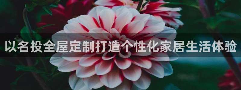 bb电子哪个平台好啊