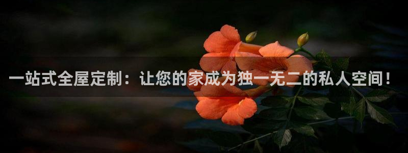 BB电子骗局