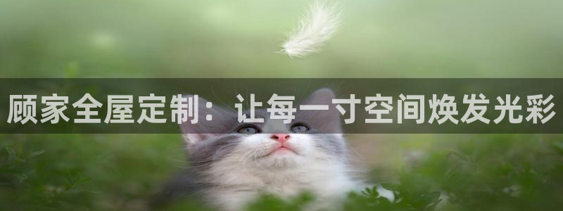 bb电子怎么赢