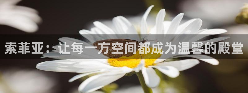 xbb电子游艺