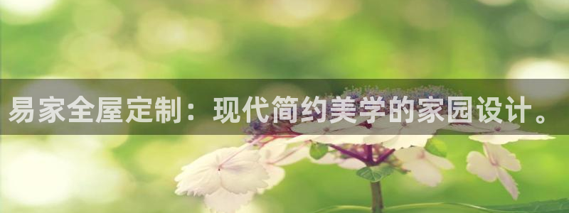 bb电子哪个平台好啊