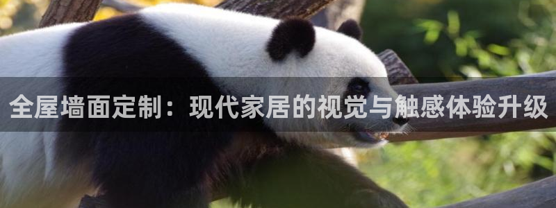 BB电子什么时候容易爆大奖