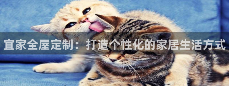 bb电子哪个游戏好赢钱一点