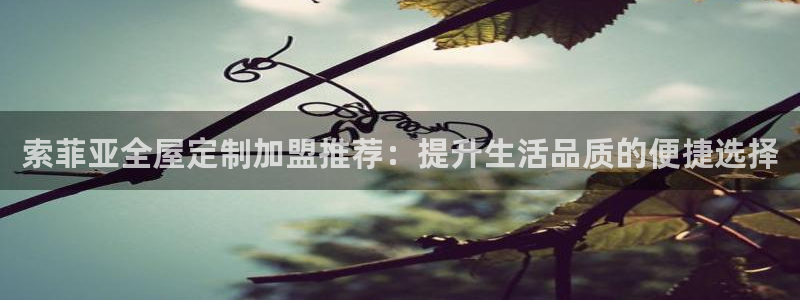 bb电子官网