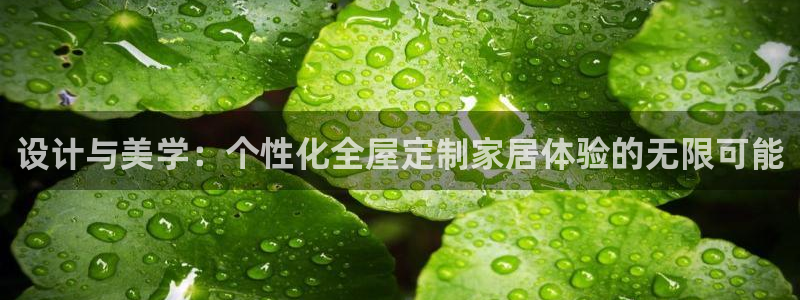 bb电子怎么英语怎么说