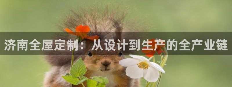 bb电子哪个平台好用点