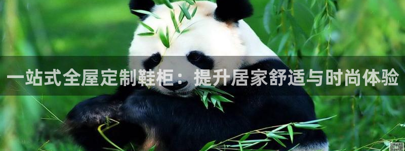 Bb电子琴和弦是哪个